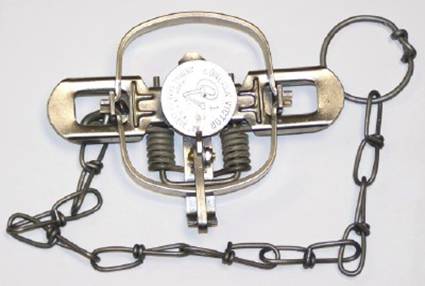 Victor Coil Spring Trap Picture